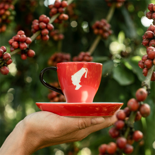 奥地利国宝级的咖啡品牌，小红帽咖啡为你而来